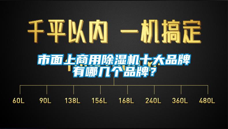 市面上商用除濕機十大品牌有哪幾個品牌？