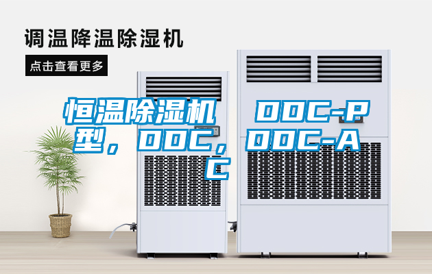 恒溫除濕機(jī)  DDC-P型，DDC，DDC-AC