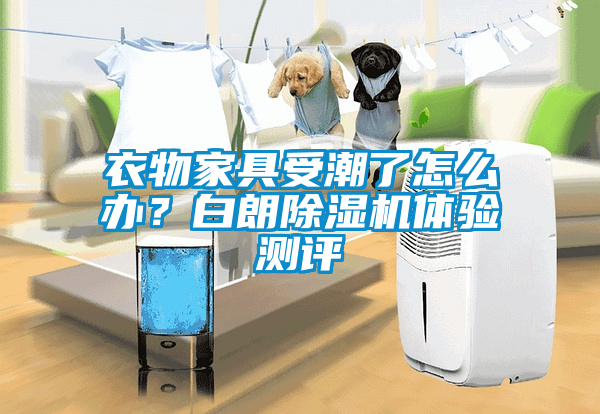 衣物家具受潮了怎么辦？白朗除濕機體驗測評