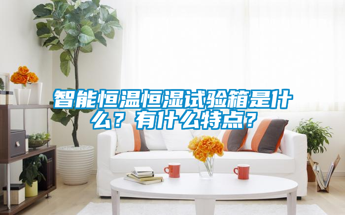 智能恒溫恒濕試驗箱是什么？有什么特點？