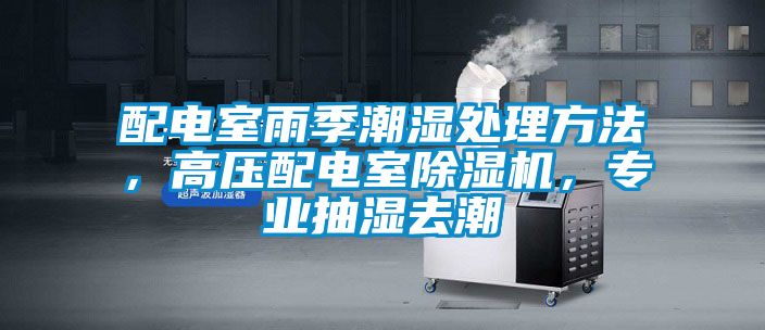 配電室雨季潮濕處理方法，高壓配電室除濕機(jī)，專業(yè)抽濕去潮