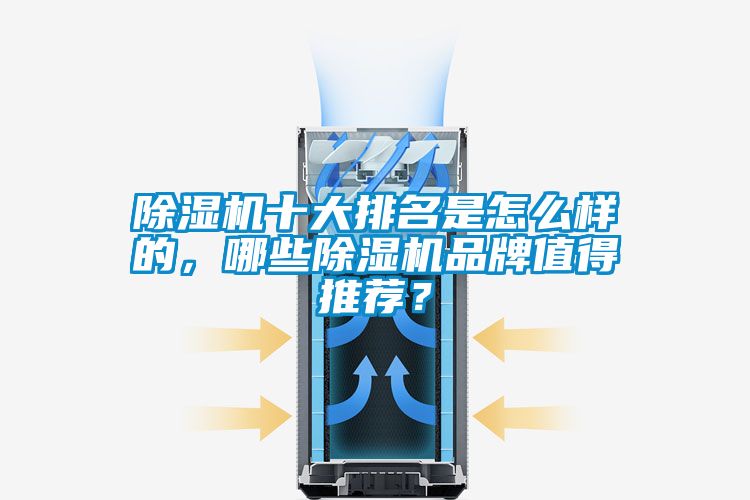 除濕機十大排名是怎么樣的，哪些除濕機品牌值得推薦？