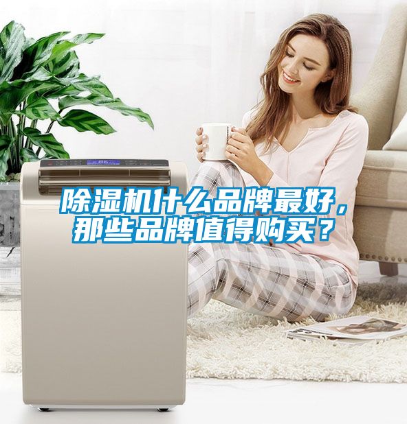 除濕機(jī)什么品牌最好，那些品牌值得購(gòu)買(mǎi)？