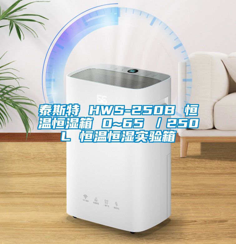 泰斯特 HWS-250B 恒溫恒濕箱 0~65℃／250L 恒溫恒濕實驗箱