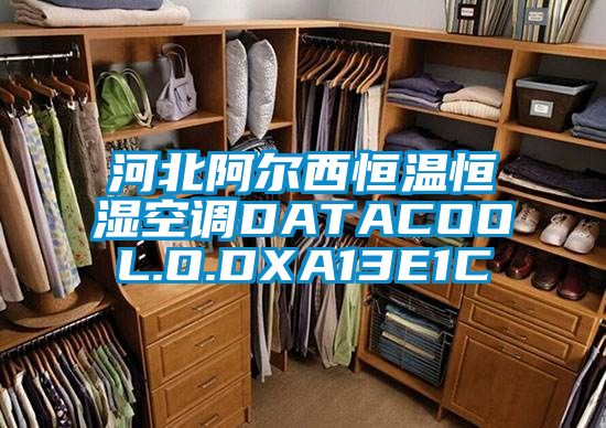 河北阿爾西恒溫恒濕空調DATACOOL.O.DXA13E1C