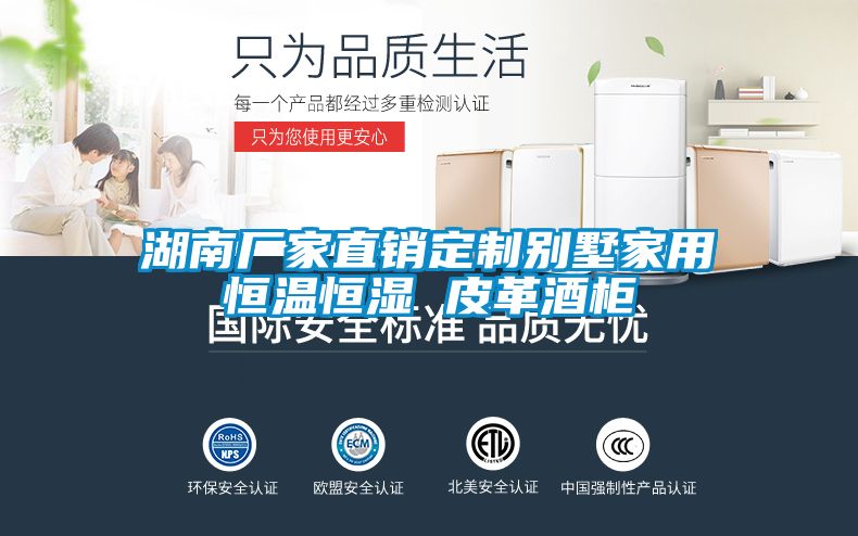 湖南廠家直銷(xiāo)定制別墅家用恒溫恒濕 皮革酒柜