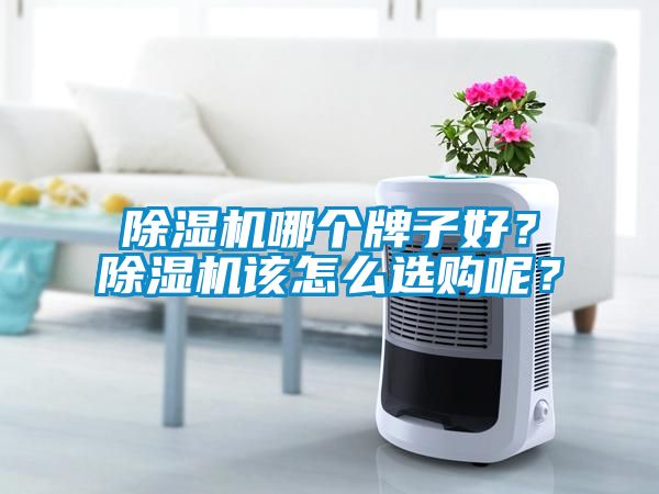 除濕機哪個牌子好？除濕機該怎么選購呢？