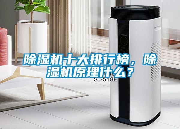 除濕機十大排行榜，除濕機原理什么？