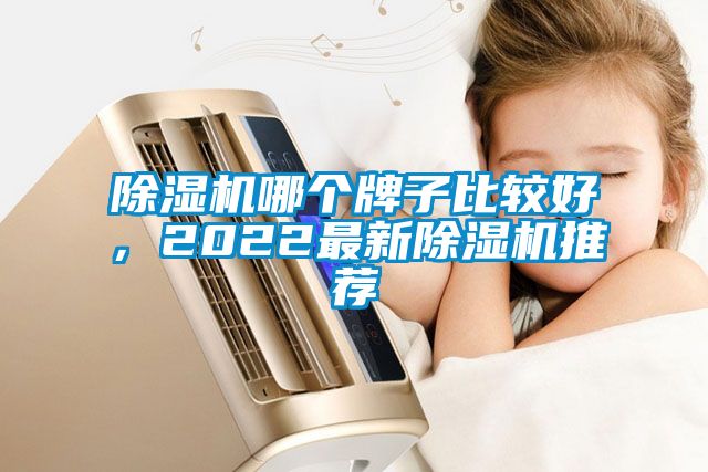 除濕機哪個牌子比較好，2022最新除濕機推薦