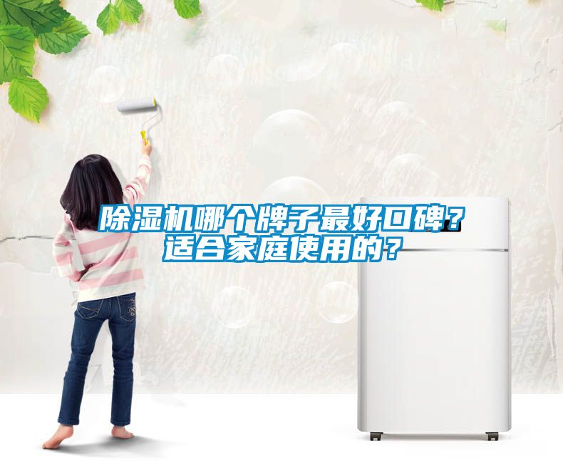 除濕機哪個牌子最好口碑？適合家庭使用的？