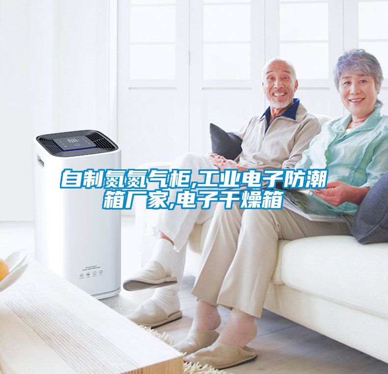 自制氮氮?dú)夤?工業(yè)電子防潮箱廠家,電子干燥箱