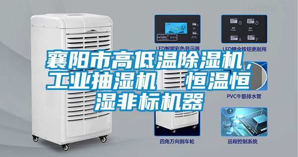 襄陽市高低溫除濕機，工業(yè)抽濕機  恒溫恒濕非標機器