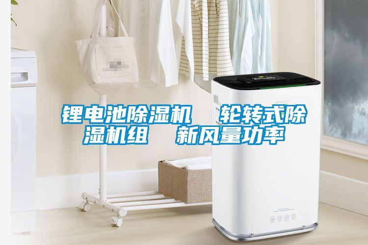 鋰電池除濕機(jī)  輪轉(zhuǎn)式除濕機(jī)組  新風(fēng)量功率