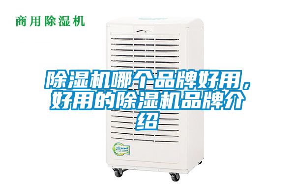 除濕機(jī)哪個(gè)品牌好用，好用的除濕機(jī)品牌介紹