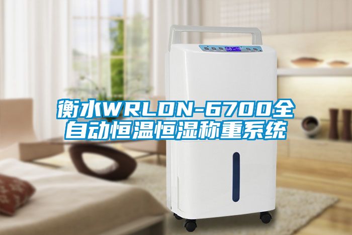 衡水WRLDN-6700全自動(dòng)恒溫恒濕稱重系統(tǒng)