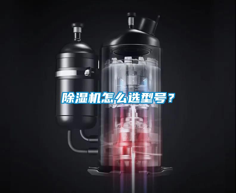 除濕機怎么選型號？