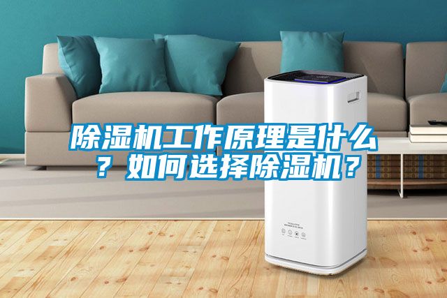 除濕機工作原理是什么？如何選擇除濕機？