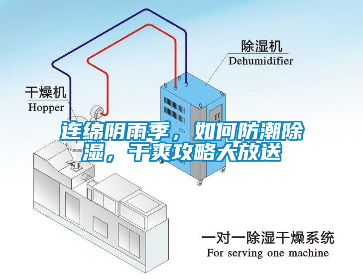 連綿陰雨季，如何防潮除濕，干爽攻略大放送