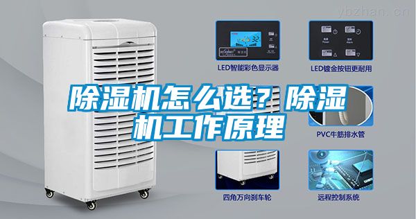 除濕機(jī)怎么選？除濕機(jī)工作原理