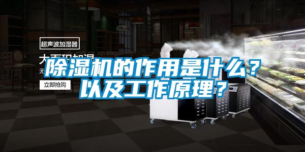 除濕機的作用是什么？以及工作原理？