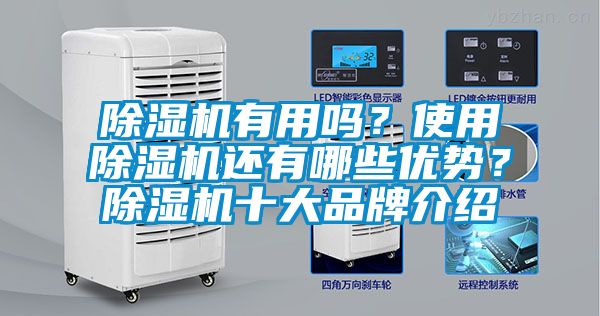 除濕機(jī)有用嗎？使用除濕機(jī)還有哪些優(yōu)勢？除濕機(jī)十大品牌介紹