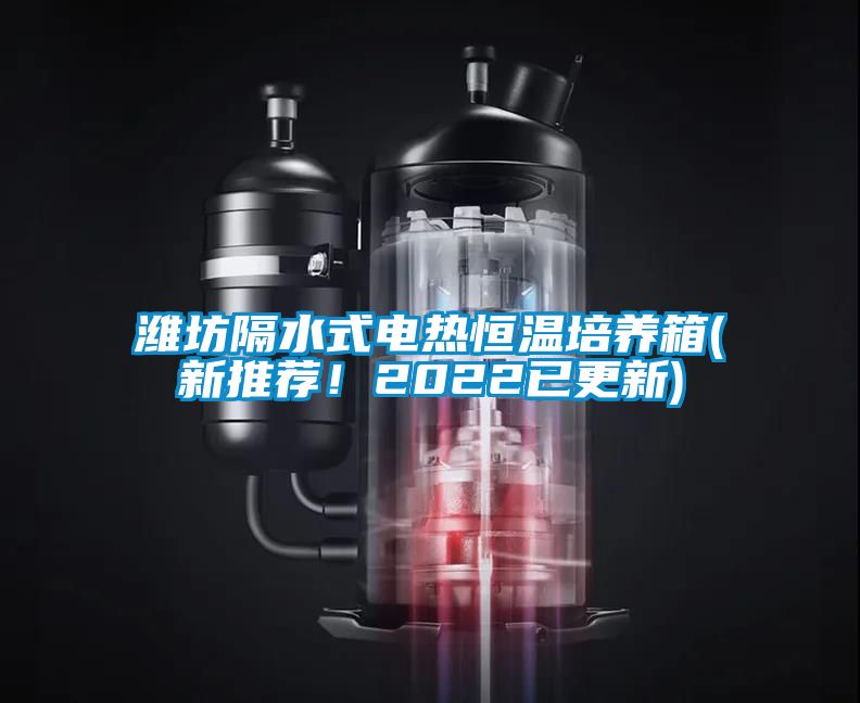 濰坊隔水式電熱恒溫培養(yǎng)箱(新推薦！2022已更新)