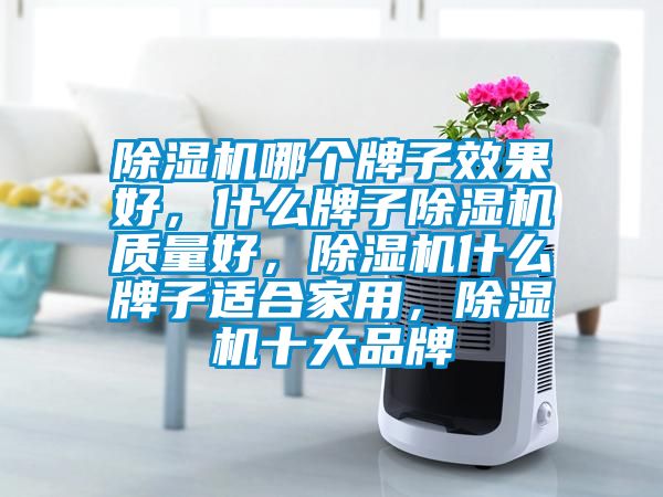 除濕機哪個牌子效果好，什么牌子除濕機質(zhì)量好，除濕機什么牌子適合家用，除濕機十大品牌