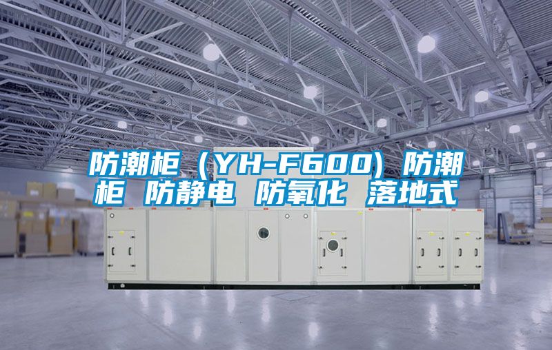 防潮柜（YH-F600) 防潮柜 防靜電 防氧化 落地式