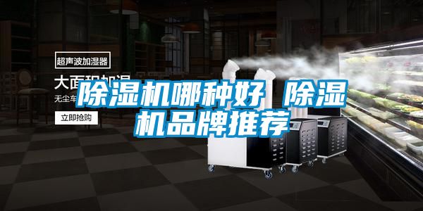 除濕機哪種好 除濕機品牌推薦