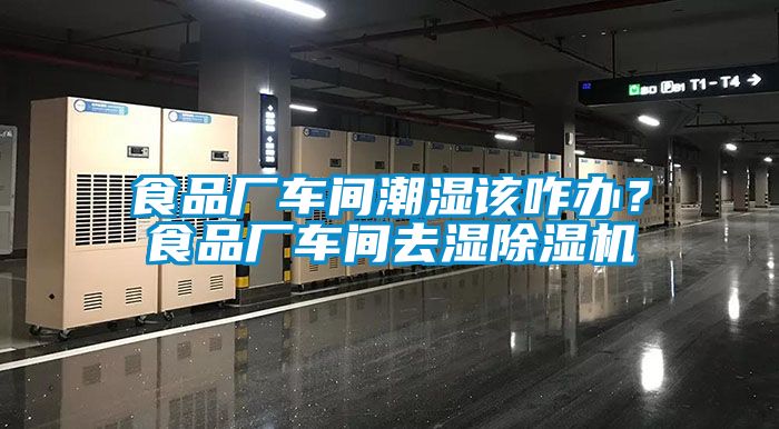 食品廠車間潮濕該咋辦？食品廠車間去濕除濕機(jī)